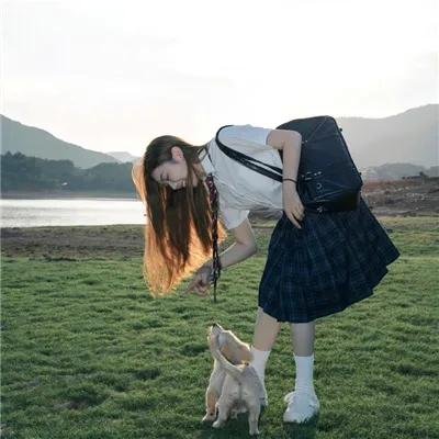爱犬情缘